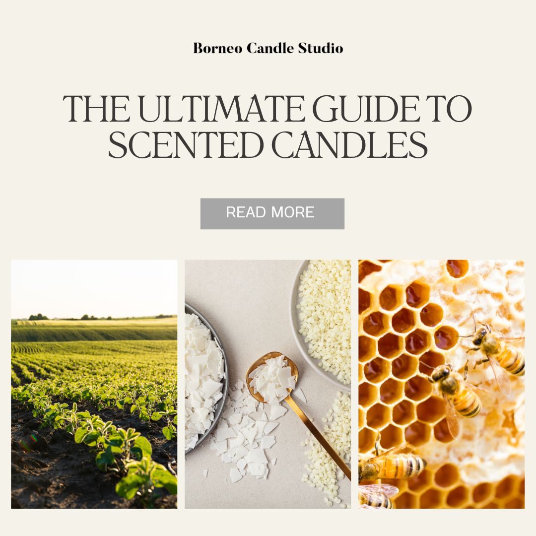 The Ultimate Guide to Scented Candles Soy Wax vs Beeswax vs Paraffin