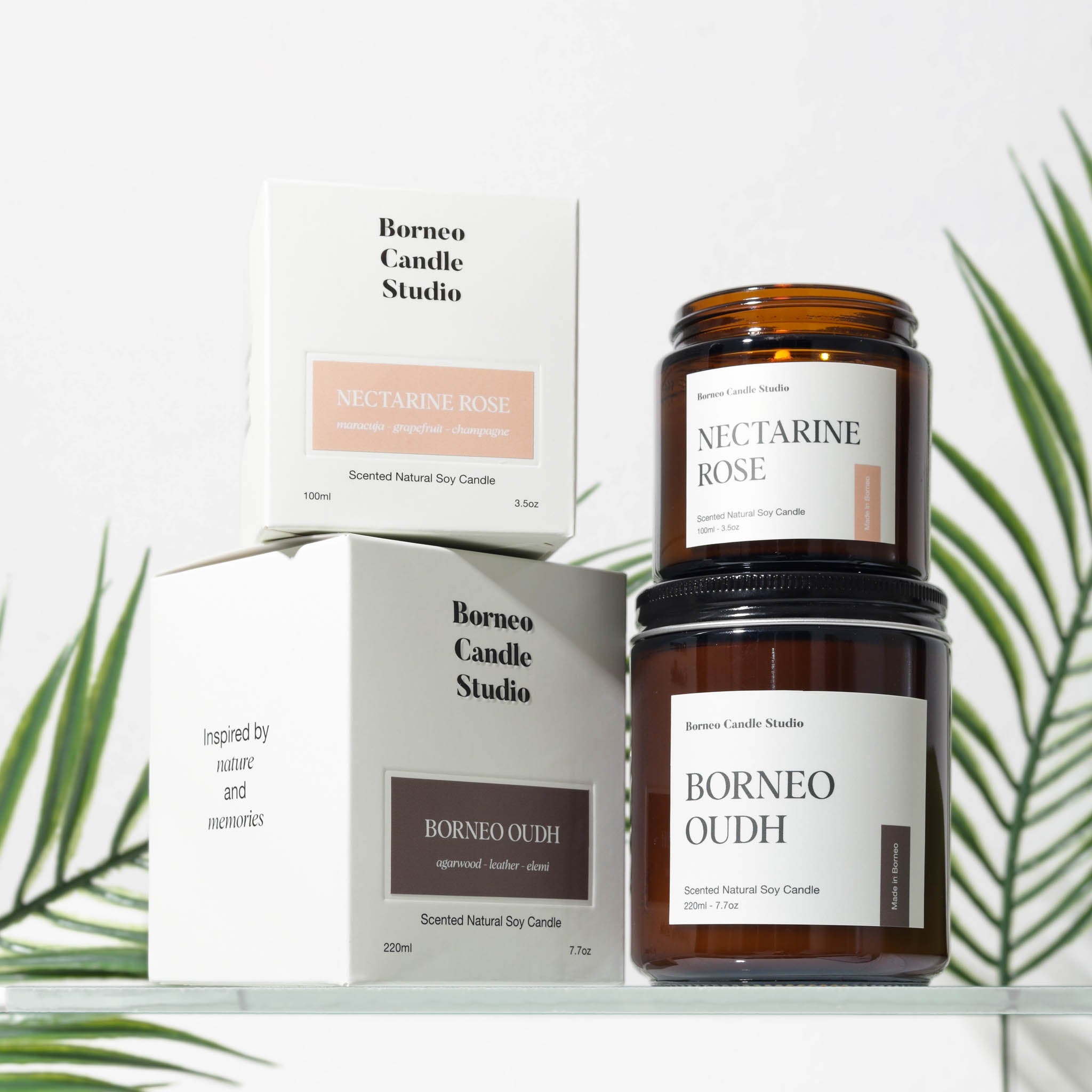 Borneo Candle Studio 2024 New Packaging Scented Candles in Packaging Box