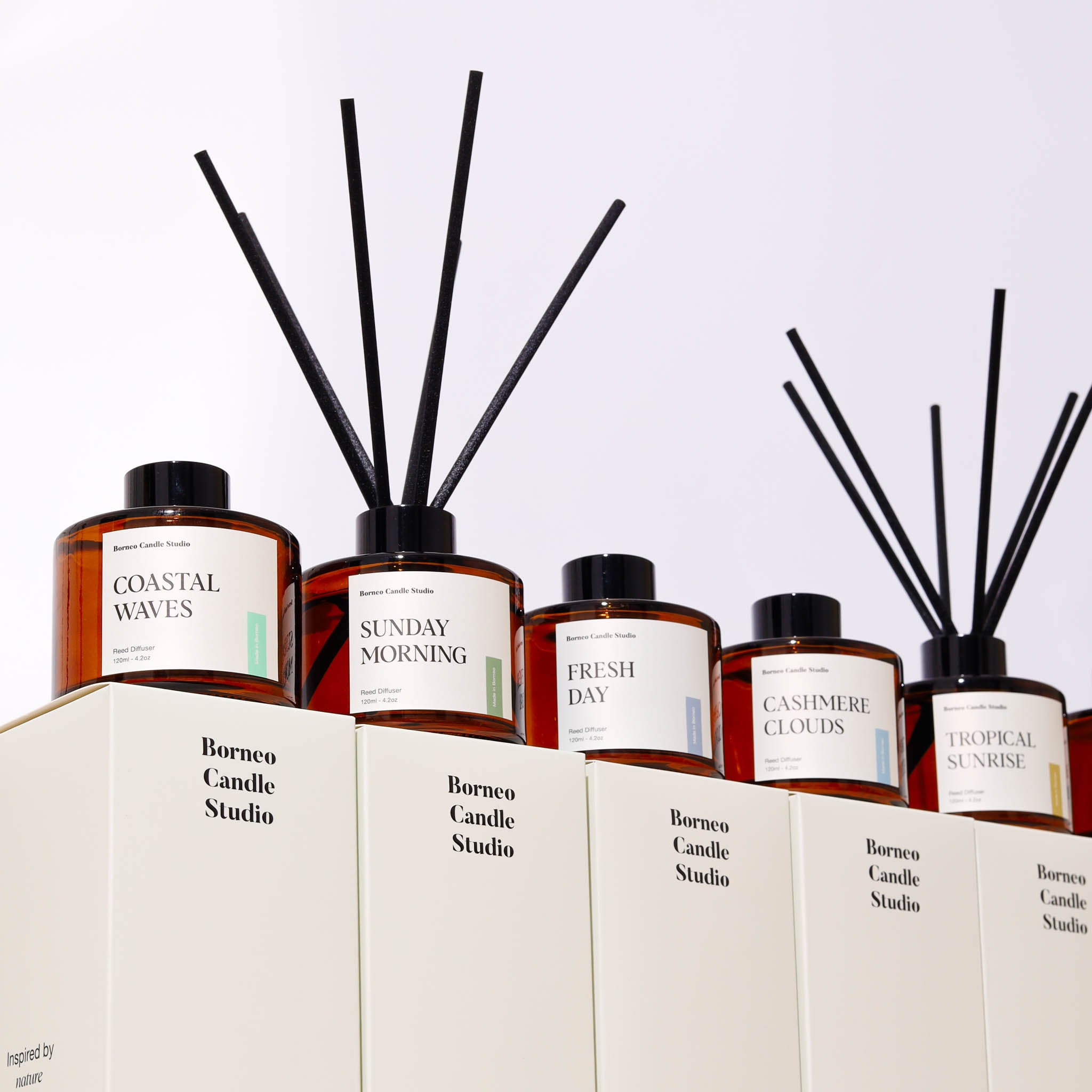 Borneo Oudh Reed Diffuser Group Collection- Borneo Candle Studio
